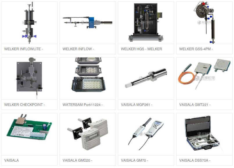 Maximator 泵：Maximator M 189L-NPT-SMB