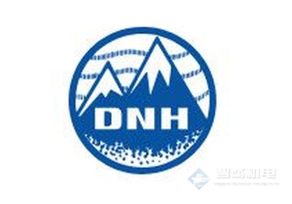 DNH DNH