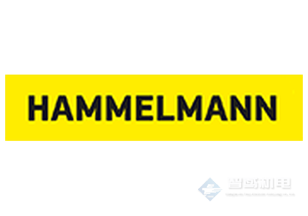 HAMMELMANN HAMMELMANN