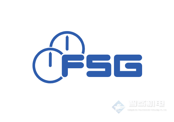 FSG(FSG Fernsteuergeräte) FSG(FSG Fernsteuergeräte)