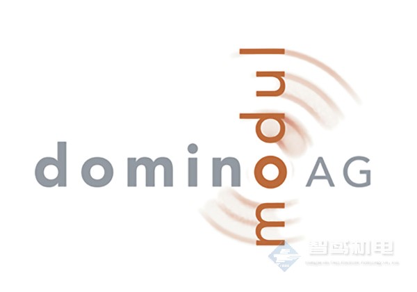 DOMINO(Domino modul AG) DOMINO(Domino modul AG)