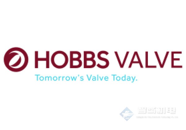 HOBBS(Hobbs Valve) HOBBS(Hobbs Valve)