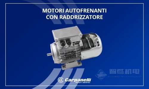 CARPANELLI(Carpanelli Motori Elettrici) CARPANELLI(Carpanelli Motori Elettrici)