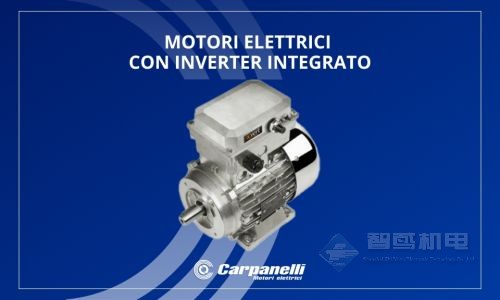 CARPANELLI(Carpanelli Motori Elettrici) CARPANELLI(Carpanelli Motori Elettrici)