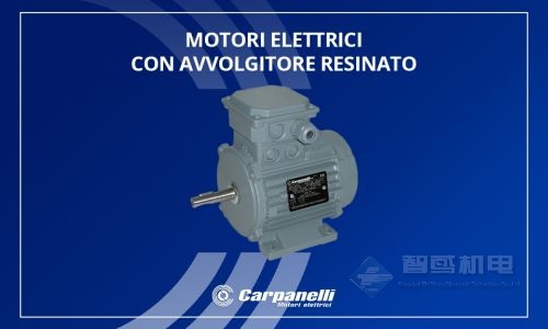 CARPANELLI(Carpanelli Motori Elettrici) CARPANELLI(Carpanelli Motori Elettrici)
