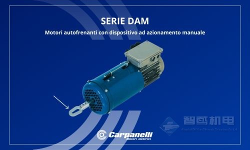 CARPANELLI(Carpanelli Motori Elettrici) CARPANELLI(Carpanelli Motori Elettrici)
