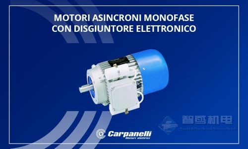 CARPANELLI(Carpanelli Motori Elettrici) CARPANELLI(Carpanelli Motori Elettrici)