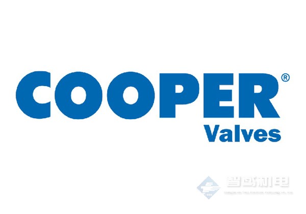 COOPER(Cooper Valves) COOPER(Cooper Valves)