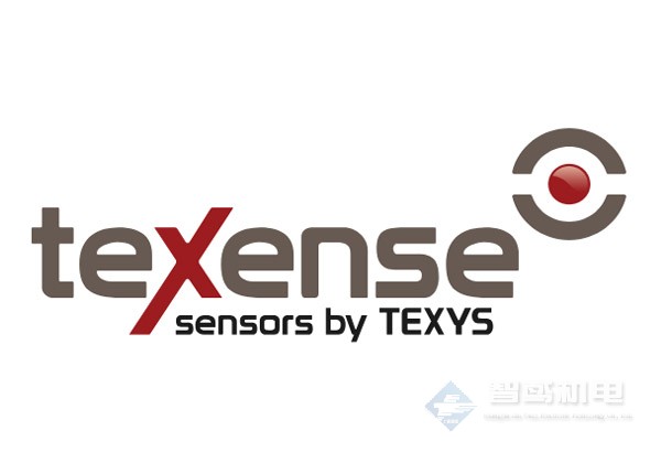 TEXENSE（TEXYS）