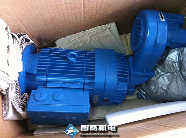 德国DEMAG电机/变频器 德国DEMAG电机/变频器