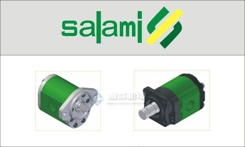 意大利SALAMI泵 SALAMI齿轮泵 SALAMI阀门 意大利SALAMI泵 SALAMI齿轮泵 SALAMI阀门