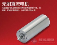 Portescap无刷直流电机16ECP52 ULTRA EC