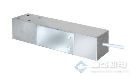 Pavone Sistemi称重传感器