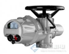 Rotork IQ 3相电动执行器-IQML线性调制执行器