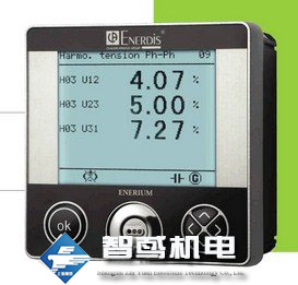 法国ENERDIS全电网监测器