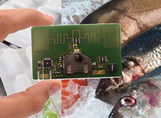 PE数控制器集成电路 PE数控制器集成电路