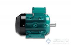 GES Group W系列电机