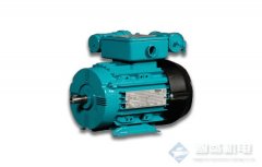 GES Group单相电动机