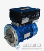 德国WTW Cellox 325溶解氧电极